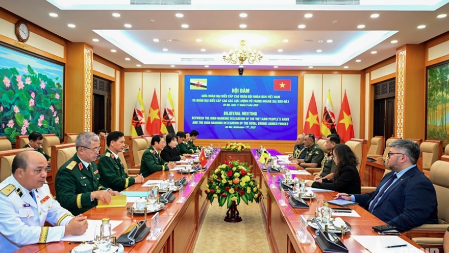 Vietnam hosts Commander of Royal Brunei Armed Forces to reinforce military ties